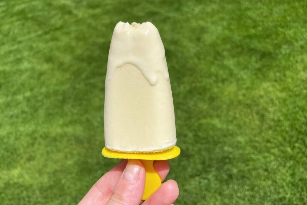 honey vanilla ice cream recipe