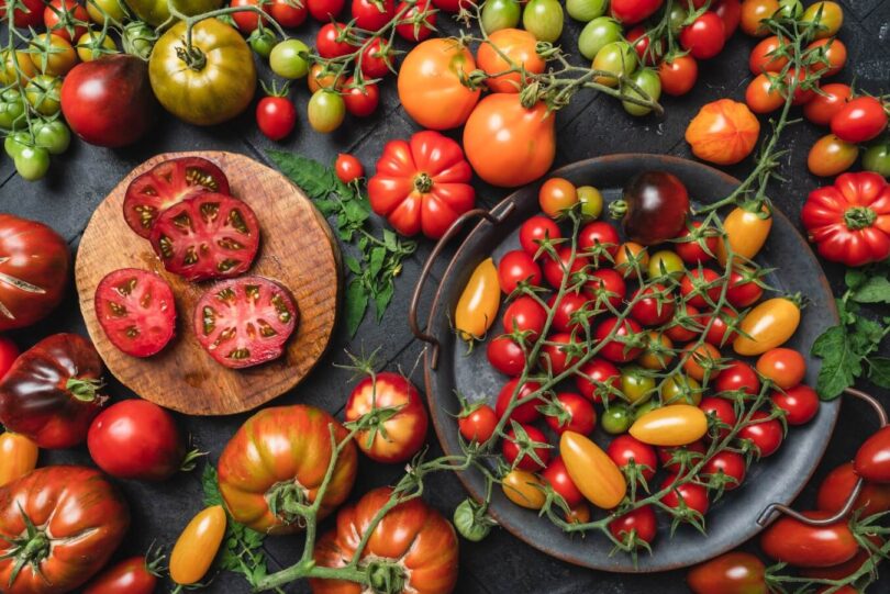 tomatoes